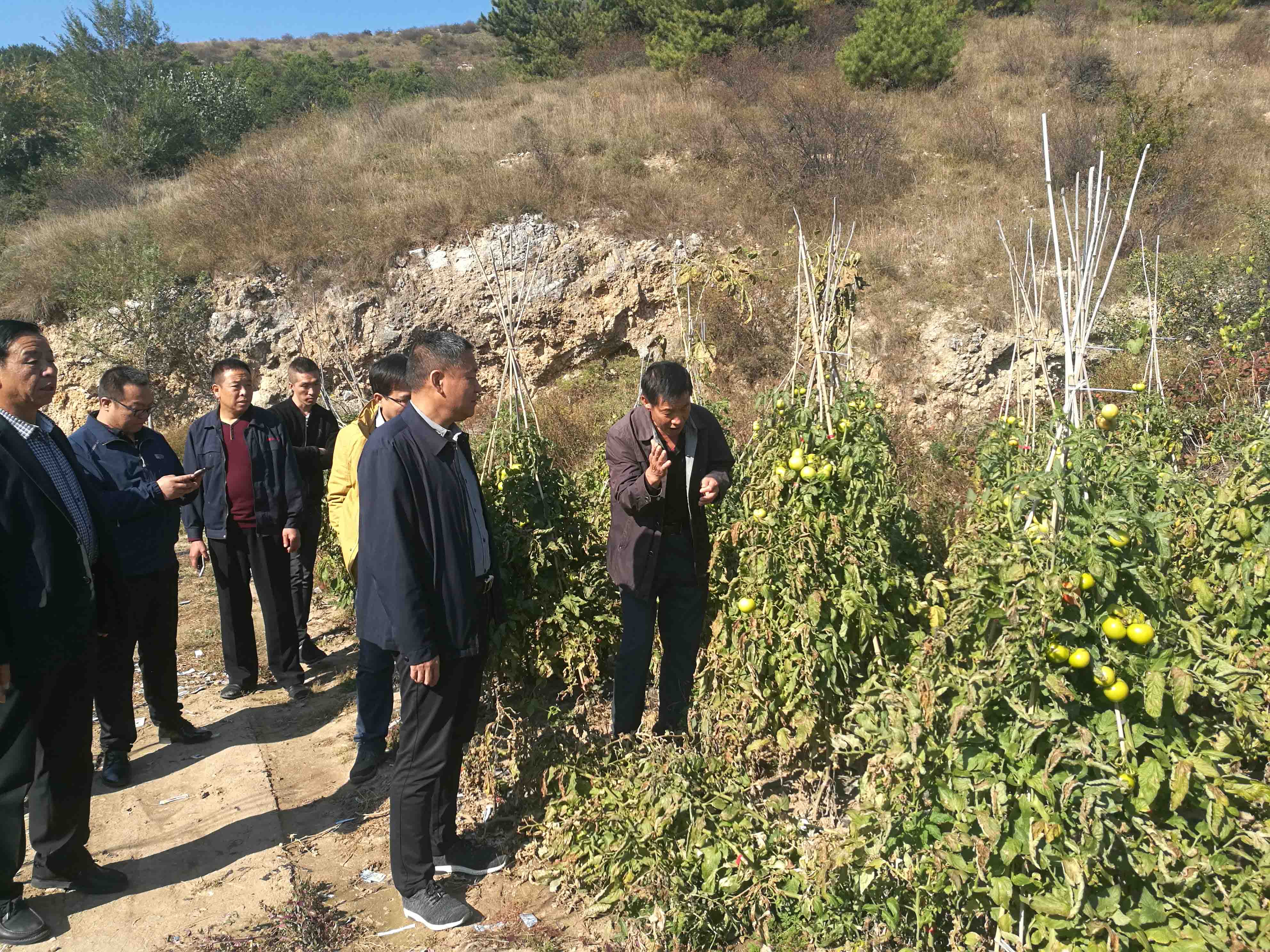 凯时KB88·(中国集团)官方网站